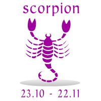scorpion copy.jpg